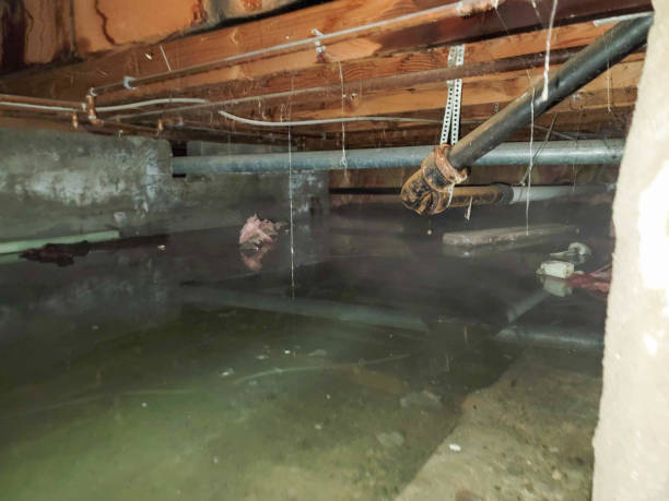 Best Fire Damage Restoration  in Harwich Center, MA
