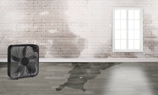 Best Local water damage restoration  in Harwich Center, MA