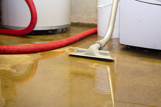  Harwich Center, MA Water damage restoration Pros