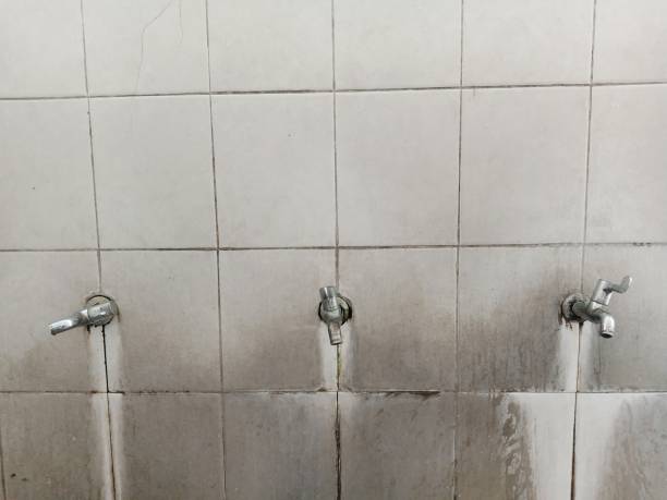 Best Water damage cleanup near me  in Harwich Center, MA