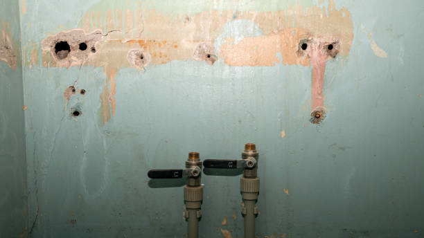 Best Mold removal after water damage  in Harwich Center, MA