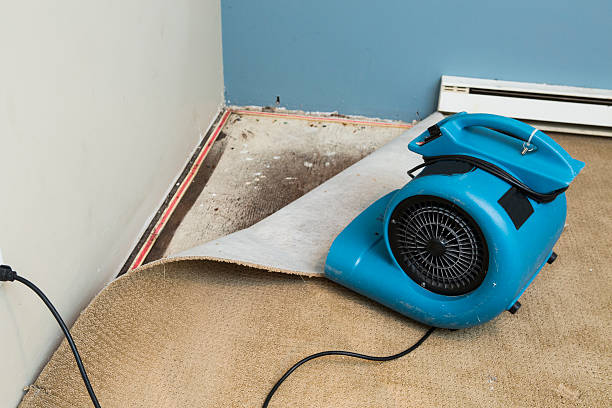 Best Flooded house restoration  in Harwich Center, MA